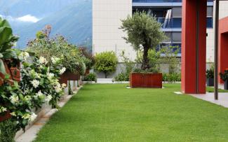 Roof garden with lawn, hanging flower boxes and an olive tree in a rust look planter
